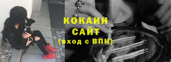 ГАЛЛЮЦИНОГЕННЫЕ ГРИБЫ Аркадак