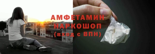 ГАЛЛЮЦИНОГЕННЫЕ ГРИБЫ Аркадак