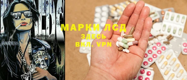 ГАЛЛЮЦИНОГЕННЫЕ ГРИБЫ Аркадак