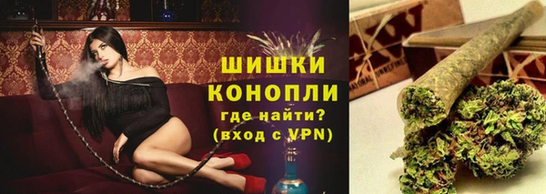 ГАЛЛЮЦИНОГЕННЫЕ ГРИБЫ Аркадак