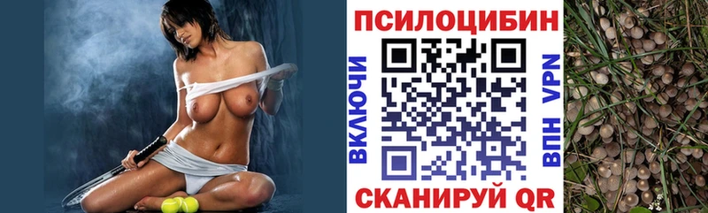 Псилоцибиновые грибы Psilocybine cubensis Краснодар
